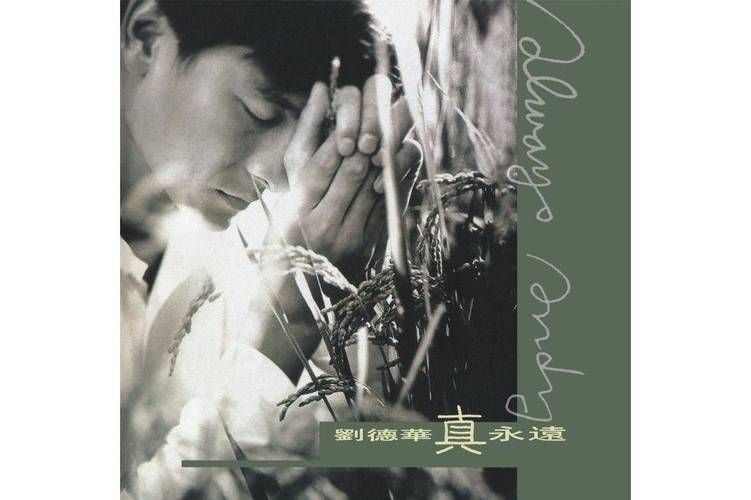 哪里能下载今天刘德华mp3完整专辑歌曲