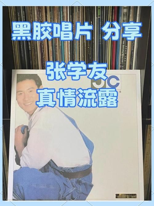 大地恩情主题曲张学友演唱版本经典回顾