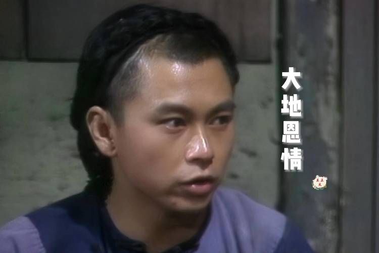 大地恩情刘德华版：听歌追忆经典电视剧