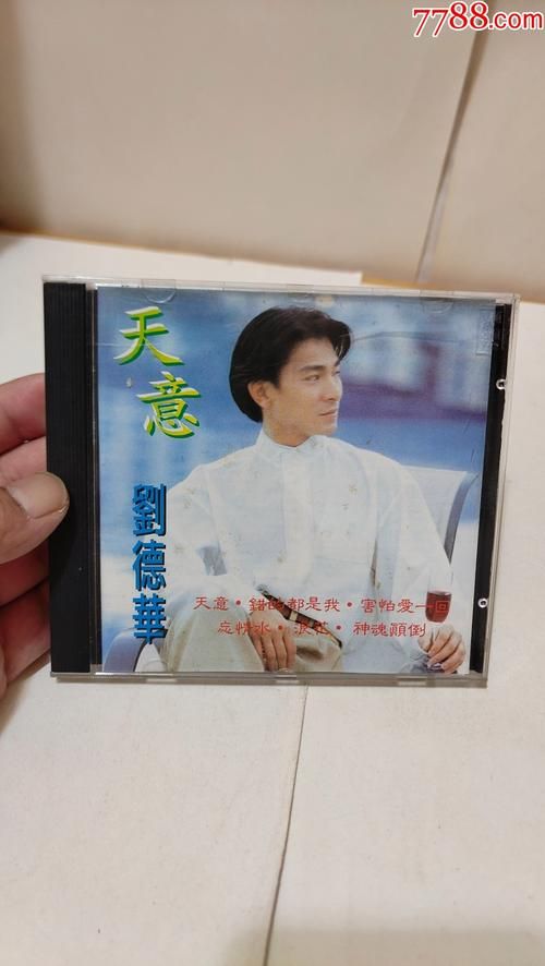 天意歌词深度解读：刘德华经典歌曲背后的故事