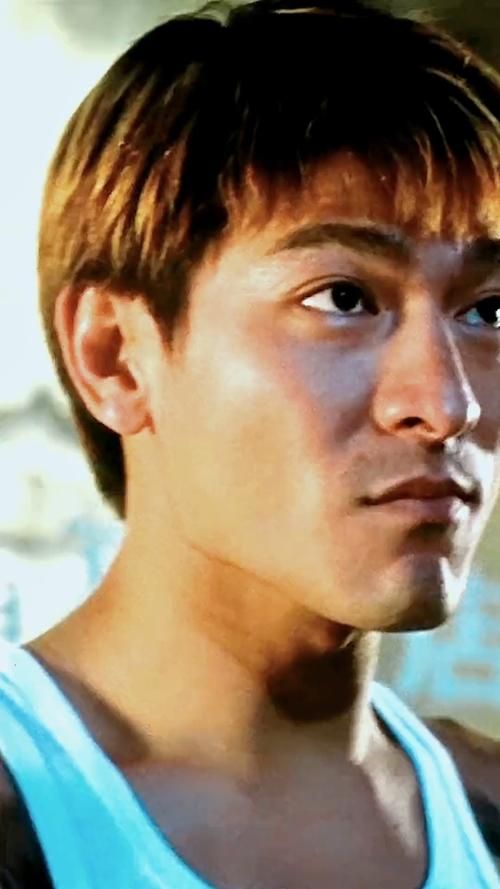 天王刘德华：你不知道的“古惑仔”经历