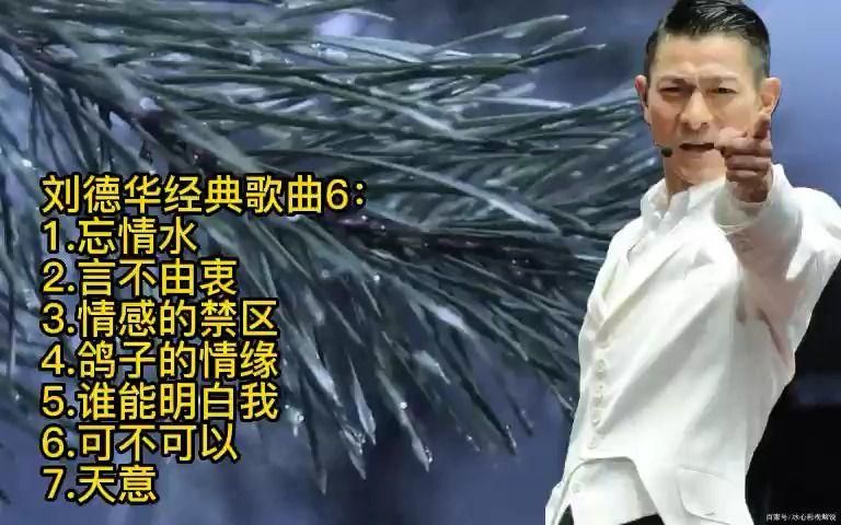好听哭了！刘德华言不由衷高清MV在线观看