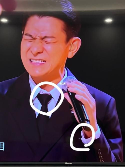 好声音第五季刘德华献唱 压轴表演惊艳全场