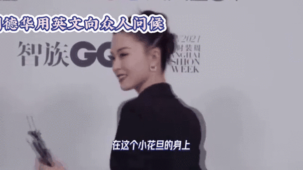 如何用英文介绍刘德华常用词汇和句子