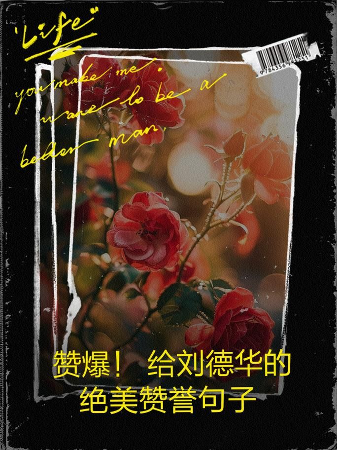 如何用英文介绍刘德华常用词汇和句子