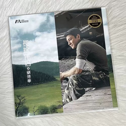 如果有一天刘德华歌词为何成为经典之作