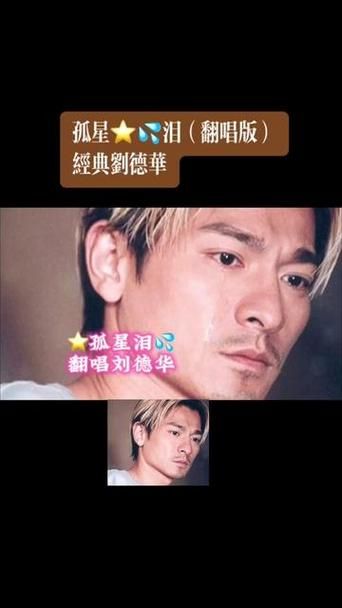 孤星泪刘德华这首歌曲的传唱度与影响力揭秘