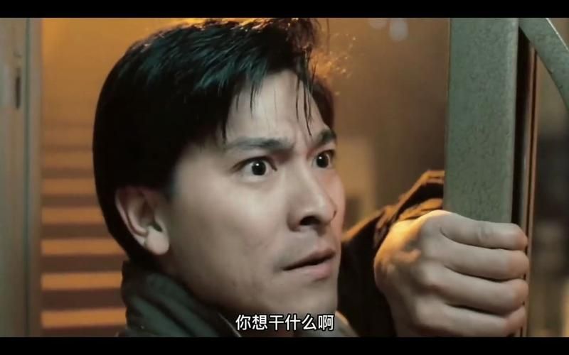 完整版刘德华电影大全，一部都不能少
