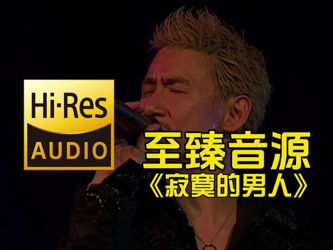 寂寞的男人张学友歌词 单曲循环的经典老歌