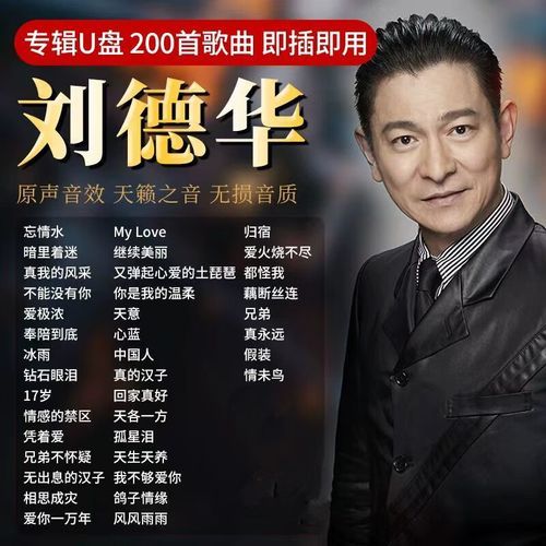 寻找刘德华歌曲视频？这里有你想要的怀旧金曲