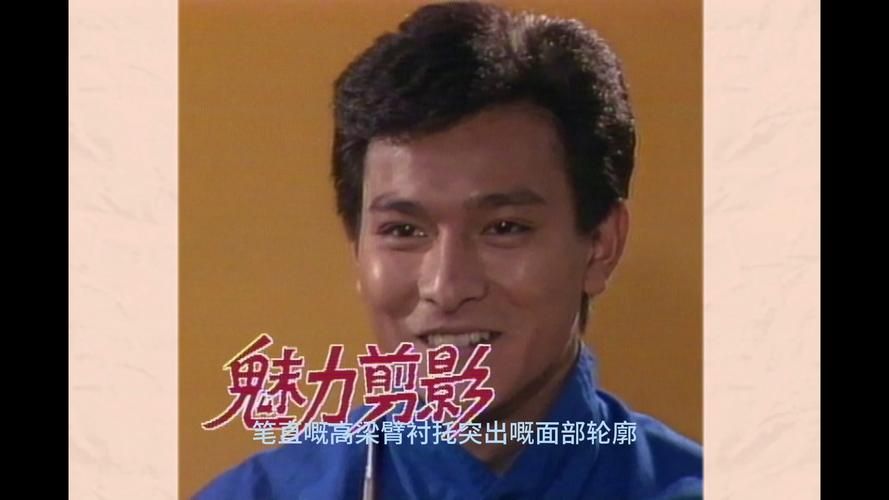寻找青春记忆刘德华mtv经典老歌视频全收录