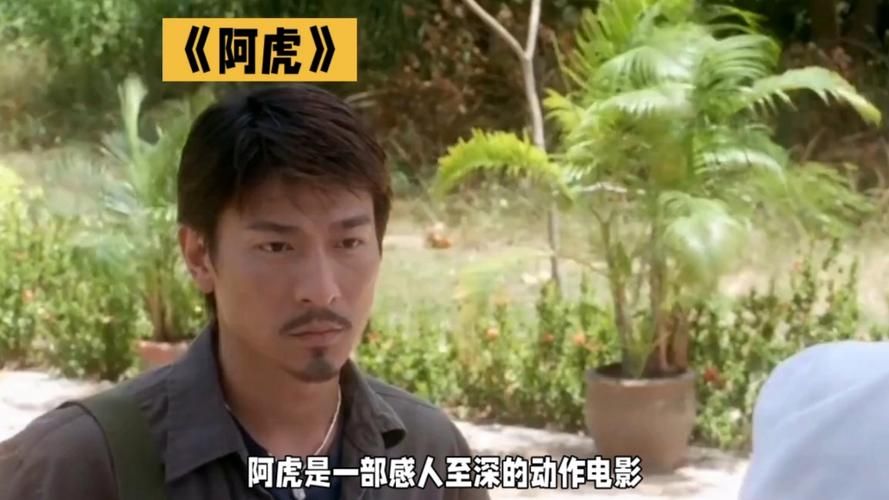少年阿虎电影主题曲刘德华歌词完整版