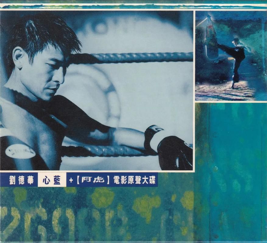 少年阿虎电影主题曲刘德华歌词完整版