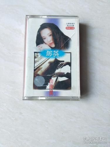 山沟沟那英歌曲歌词解析与创作背景