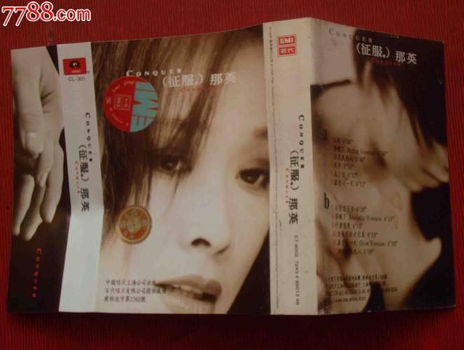 山沟沟那英歌曲歌词解析与创作背景