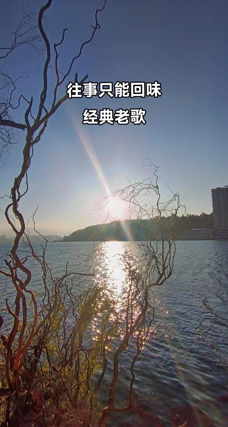 张学友今晚要尽情嗨歌 这些经典老歌你一定听过