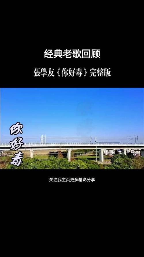 张学友你好毒歌词解析 原来这首歌这么有意思