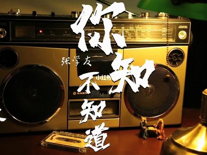 张学友你知不知道粤语歌词含义及创作背景