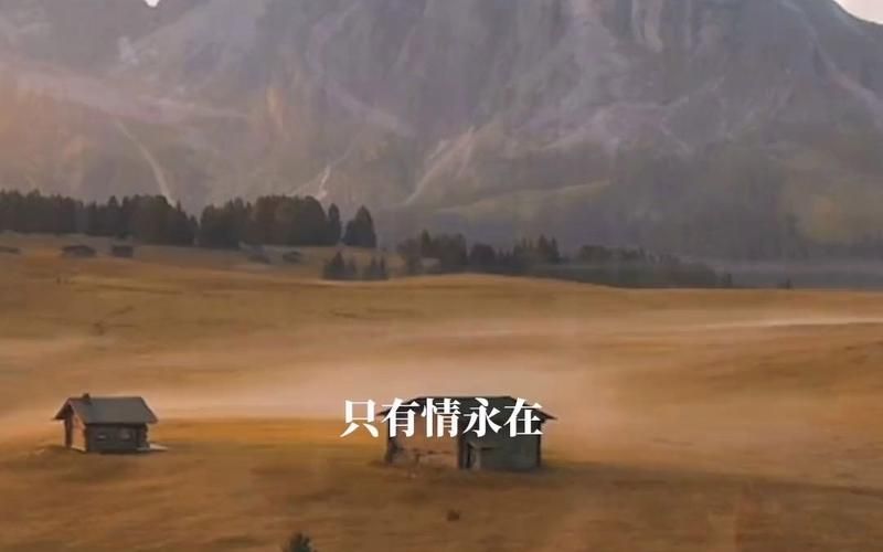 张学友只有情永在歌词中的深情你听懂了吗