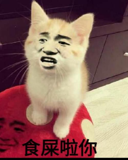 张学友吃屎表情包高清原图 快来下载收藏吧