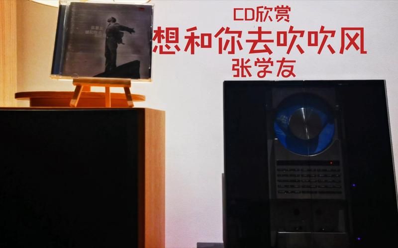 张学友吹吹风歌词赏析 品味歌神独特的音乐风格