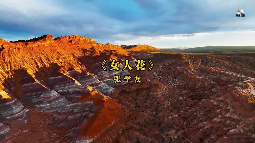 张学友女人心歌词解析 听懂歌神唱出女人心事