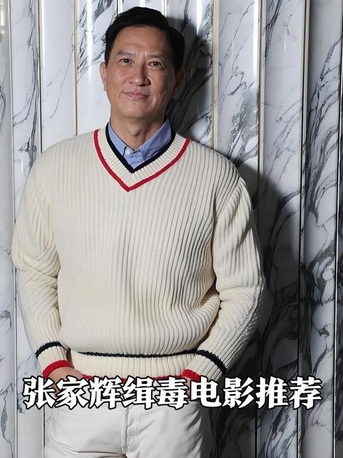 张学友张家辉电影全集 从赤道到扫毒全收录