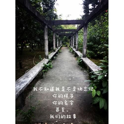 张学友恐龙主题曲背后的故事你知道吗