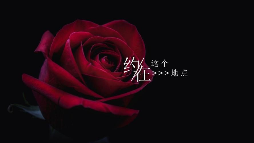 张学友我会送你红色玫瑰背后的创作灵感来源