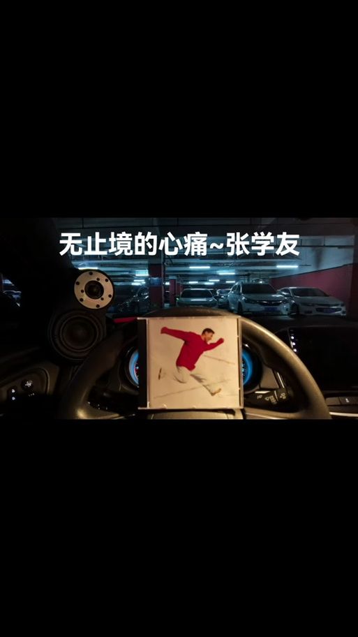 张学友无止境的心痛歌词解析情感太真实