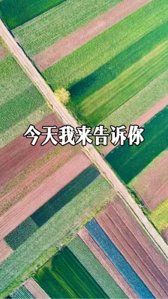 张学友无言的结局歌词解析与情感共鸣