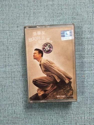张学友最新歌曲歌词赏析 字字句句打动人心