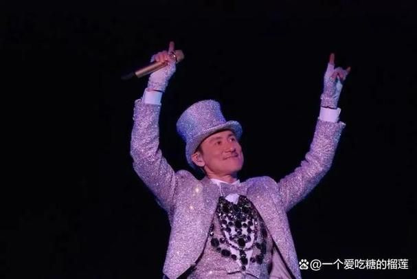 张学友演唱会下载推荐 热门场次视频合集打包
