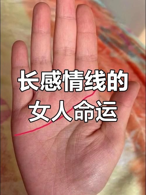 张学友生辰八字探究他的性格与运势关系