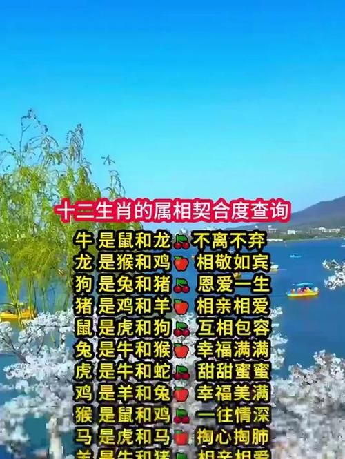张学友的生肖属相你知道是哪一年吗