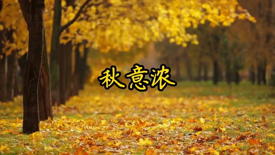 张学友秋意浓歌词背后的故事 一首歌道尽人生沧桑