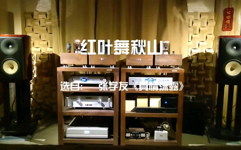 张学友红叶舞秋山歌词解析与创作背景介绍