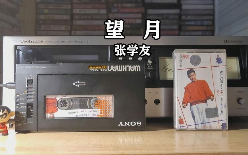 张学友经典望月视频回顾与下载