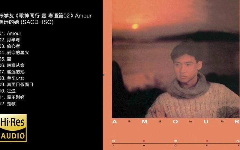 张学友经典歌曲粤语精选每一首都值得单曲循环
