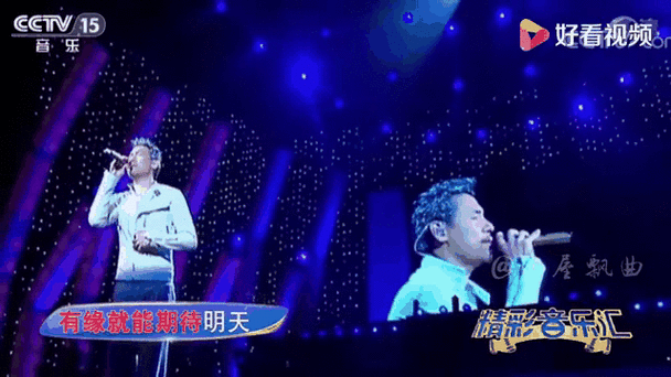 张学友许慧欣音乐故事揭秘两位天王的合作历程
