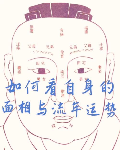 张学友面相分析从脸型看他的性格与财运关系