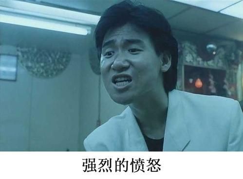 张学友食屎啦你表情包合集 网友疯狂转发笑到肚子疼