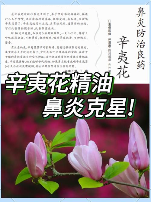 张学友鼻炎治疗方法揭秘 这些偏方真的有效吗