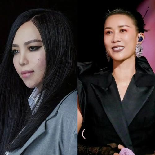 张惠妹和那英关系好吗她们在节目中如何评价对方