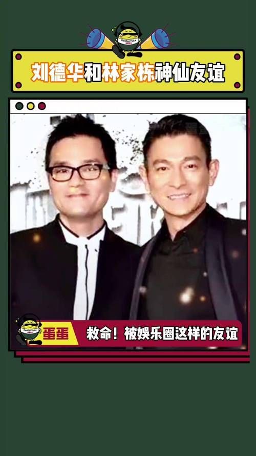 张智霖刘德华：娱乐圈的模范友谊，他们的友谊故事