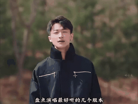 忘尽心中情刘德华演唱版本对比与推荐