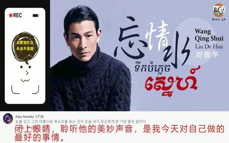 忘尽心中情刘德华演唱版本对比与推荐