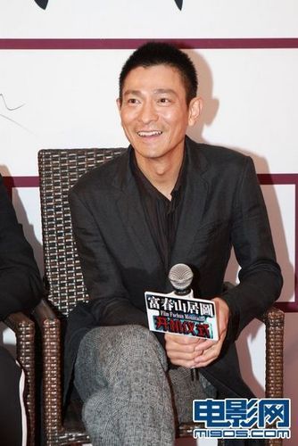 想了解刘德华在富春山居图中的角色和表现？
