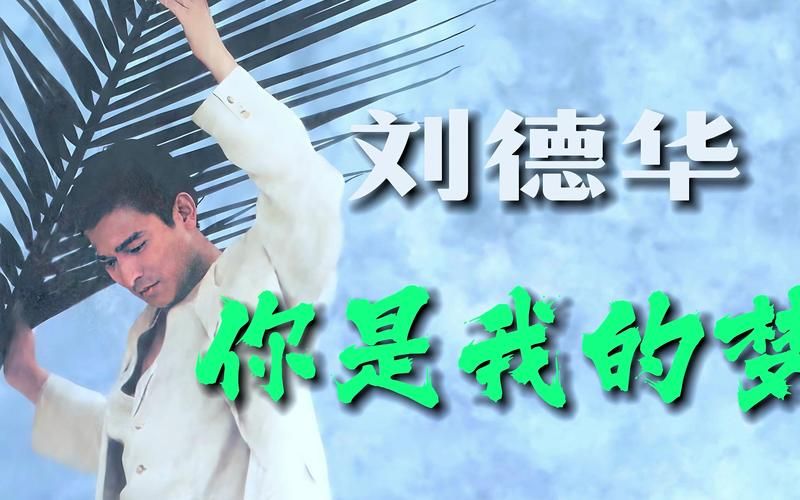 我与刘德华：一段关于梦想的对话