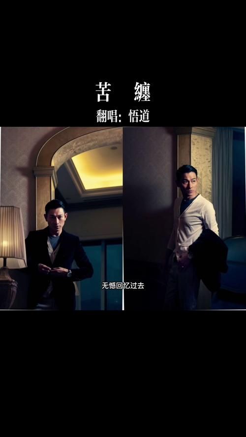 我们的刘德华：经典歌曲回顾与高品质音乐推荐